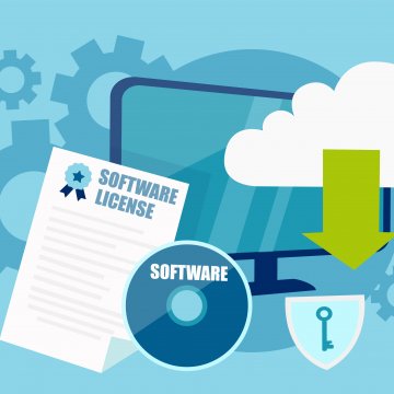 Software license key cartoon image